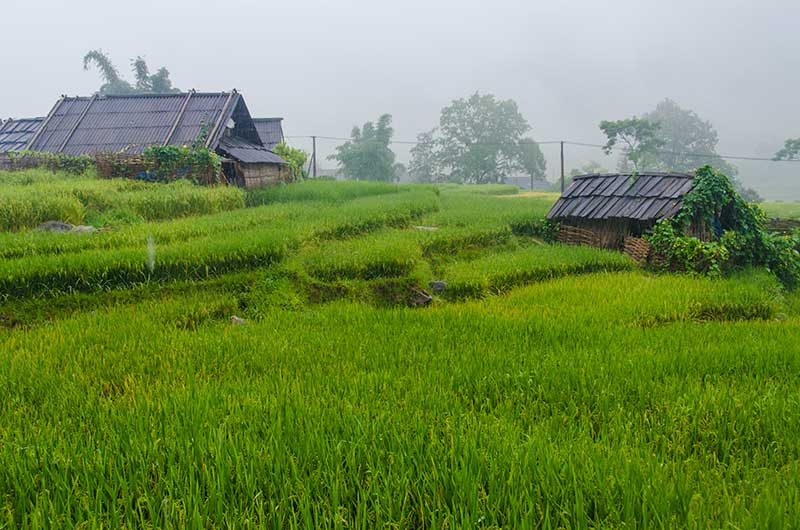 233 - Vietnam - Sapa - paisaje bajo la lluvia